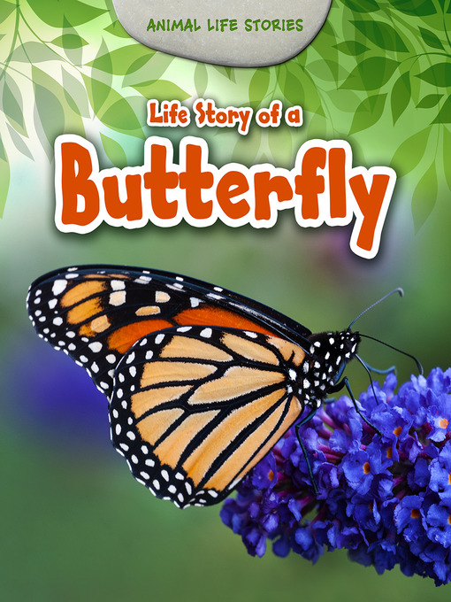 Title details for Life Story of a Butterfly by Charlotte Guillain - Available
